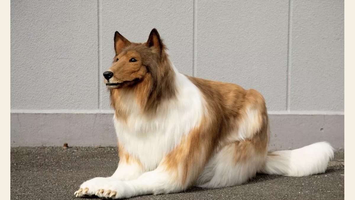 DOCU-SPECIAL: Japanse man verandert in een hond